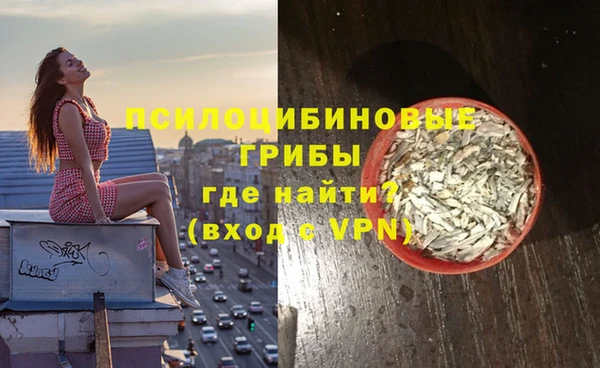 стаф Алексеевка