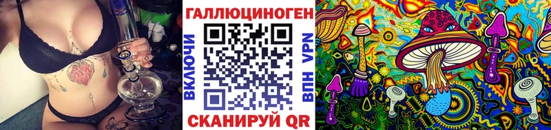 Купить  Михайлов  Галлюциногенные грибы Psilocybe 